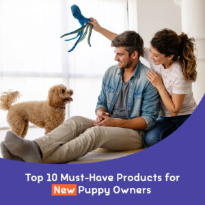 Top 10 Must-Have Products for New Puppy Owners