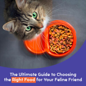 The Ultimate Guide to Choosing the Right Food for Your Feline Friend