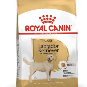 Royal Canin Dry Food for Adult Labrador Retrievers
